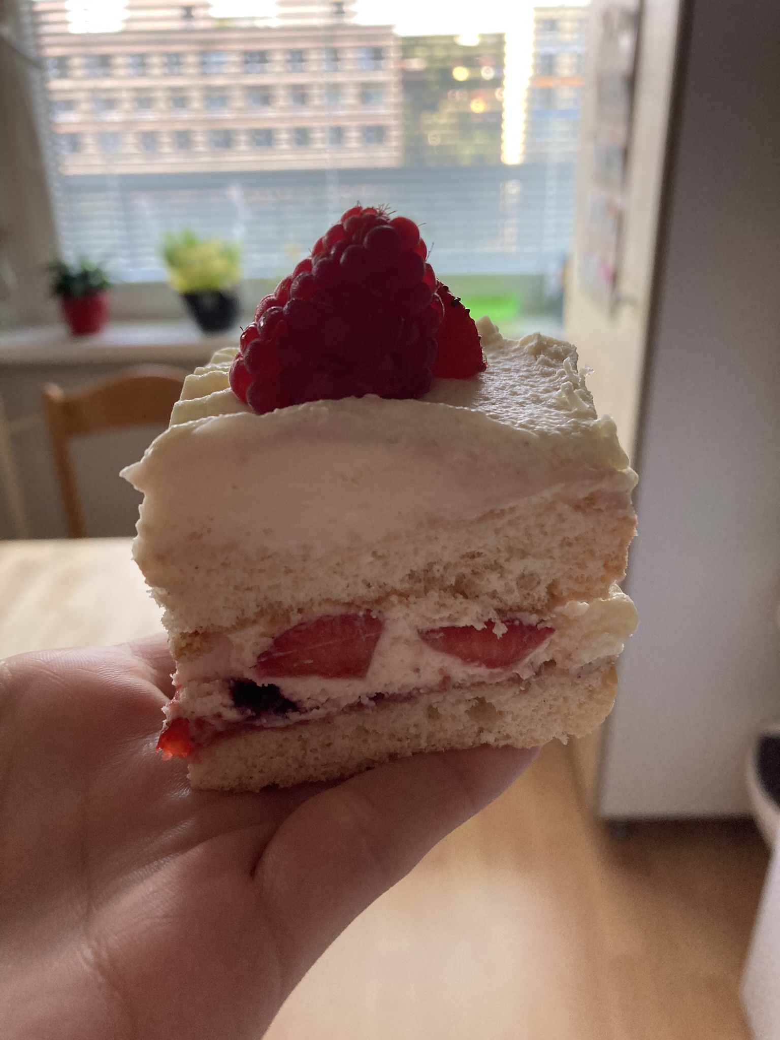 Šlehačkové řezy s ovocem